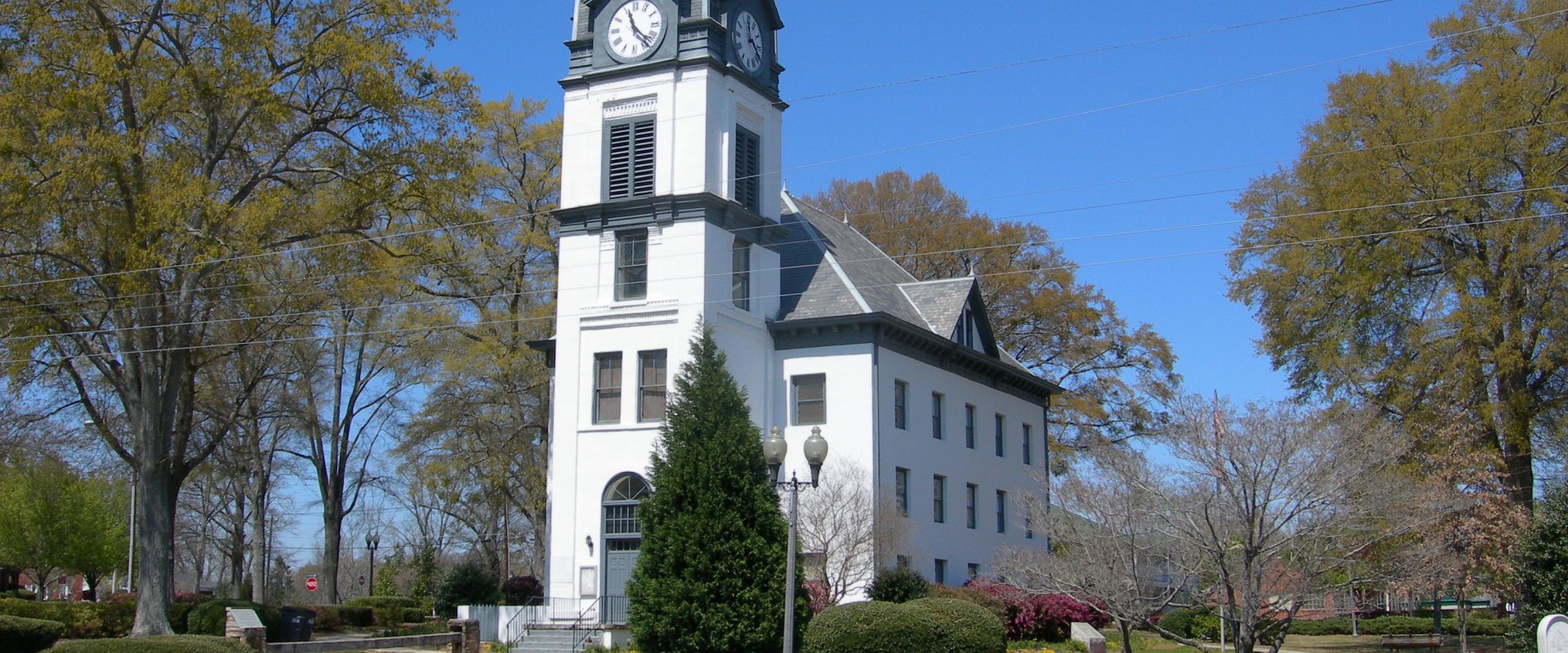 The Journey to Becoming a Politician in Fayette County, Georgia